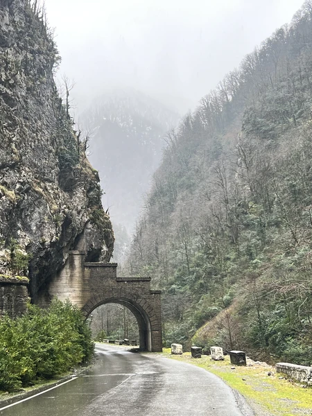 Впервые побывали в Абхазии, спасибо гиду Гамлету за интересную экскурсию, было много информации про историю Абхазию