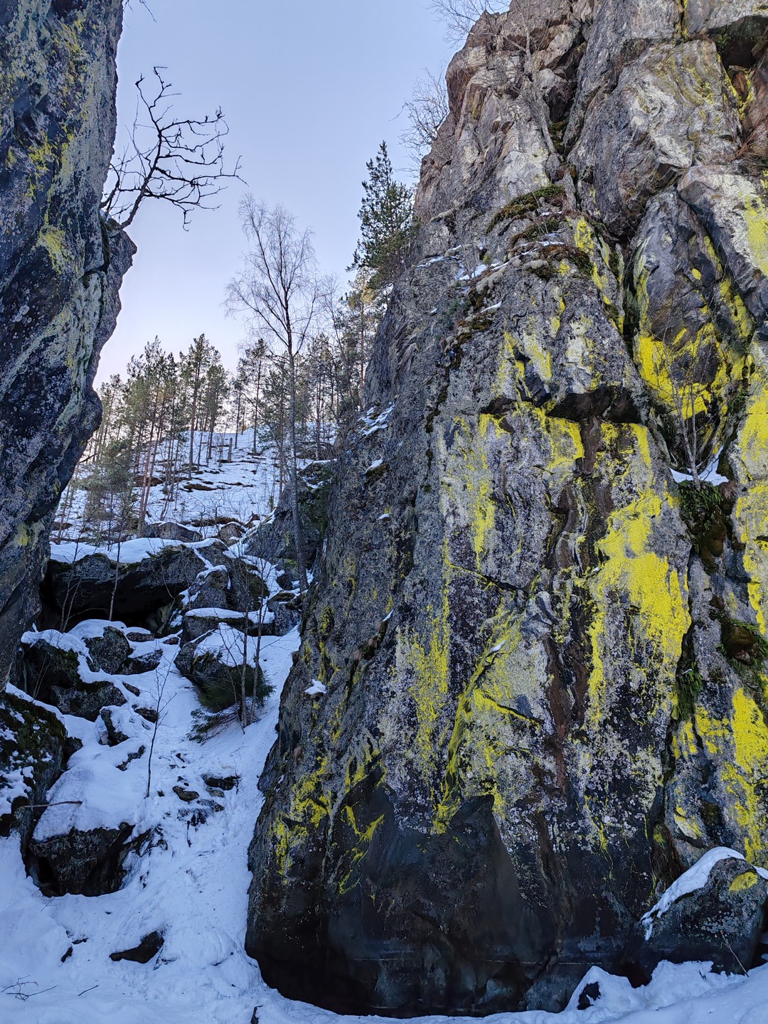 Сегодня поездка была просто супер, полный восторг!