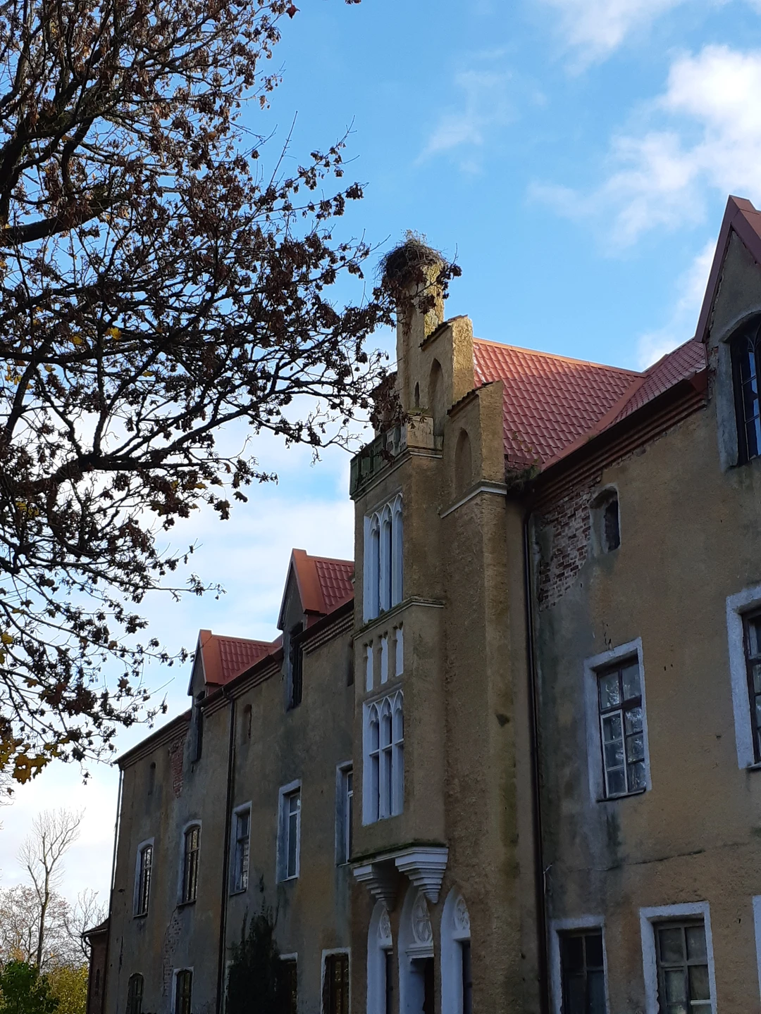 Путешествие к замкам Тевтонского ордена - из Калининграда (Светлана)