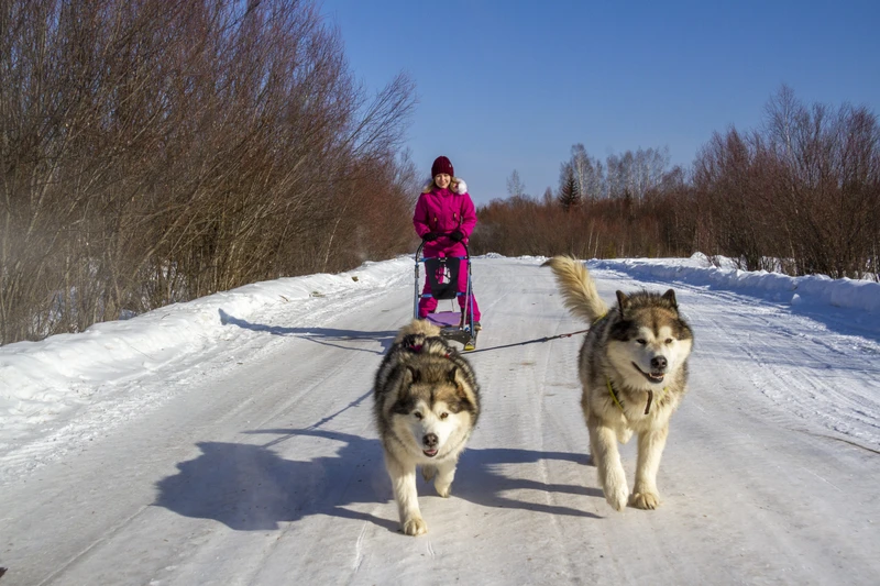 Алина прекрасно организовала нашу поездку. Отдельное спасибо нашему гиду Андрею. Послушали увлекательный рассказ об истории города