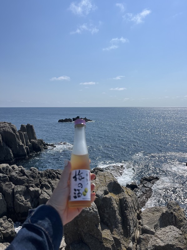 Из Токио - на Фукуи, в край самураев, дзэн-буддизма и невероятных пейзажей