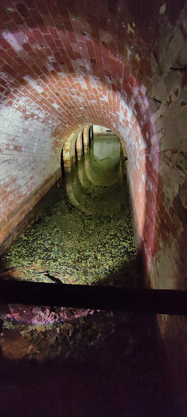 Загадочная и таинственная ночная экскурсия👍 Мы остались очень довольными и наполненными новыми знаниями. Спасибо за легкую