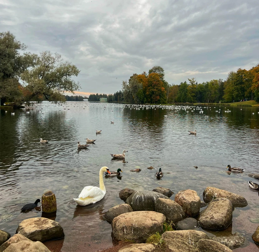 Гатчина: жизнь и любовь сквозь столетия (Наталья)