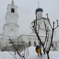 Фото отзыва 3: экскурсия "Арзамас православный"