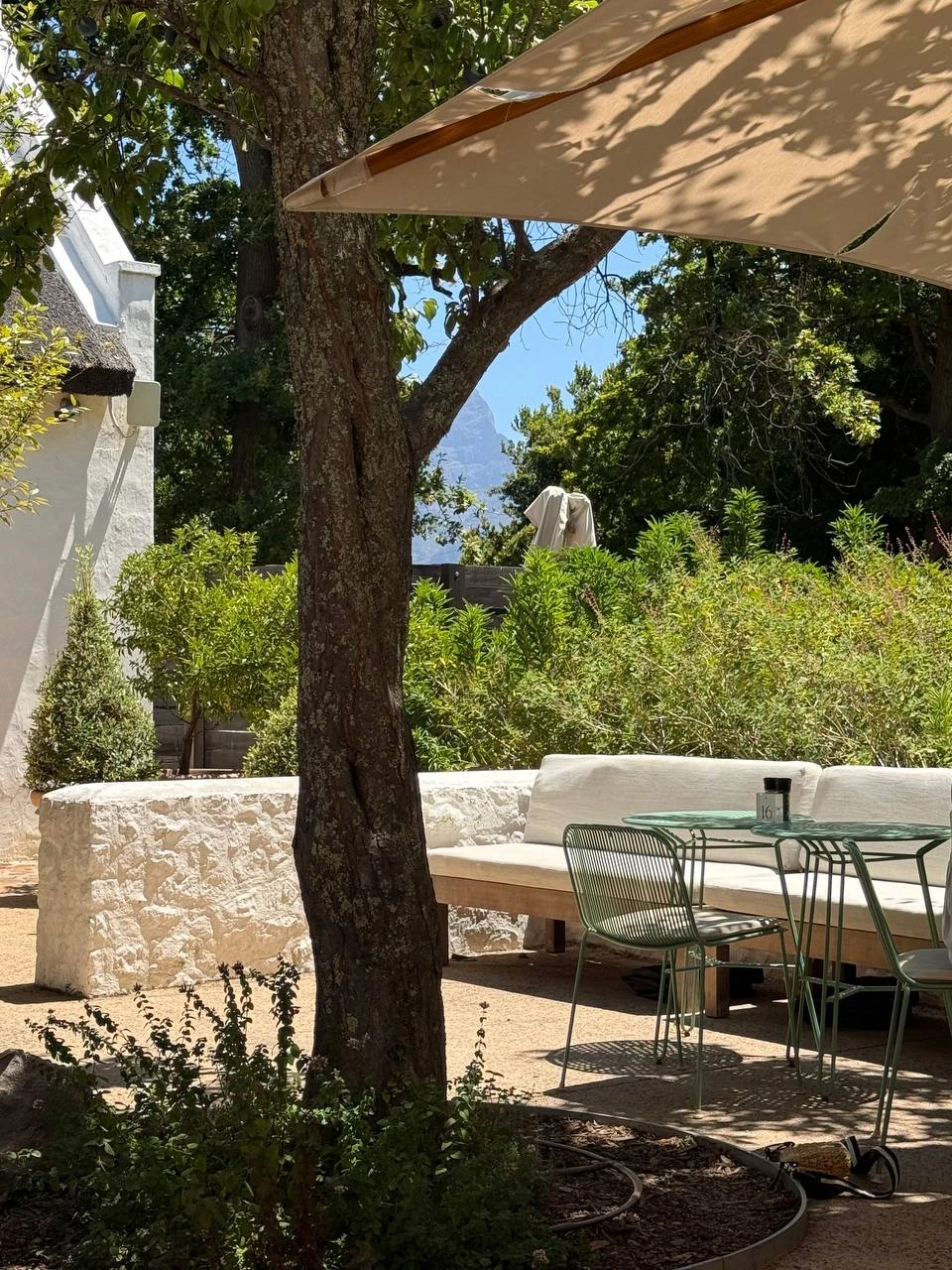 Это не просто экскурсия, а настоящее «сафари» для гурмана! Гид-сомелье не только блестяще знает тему, но