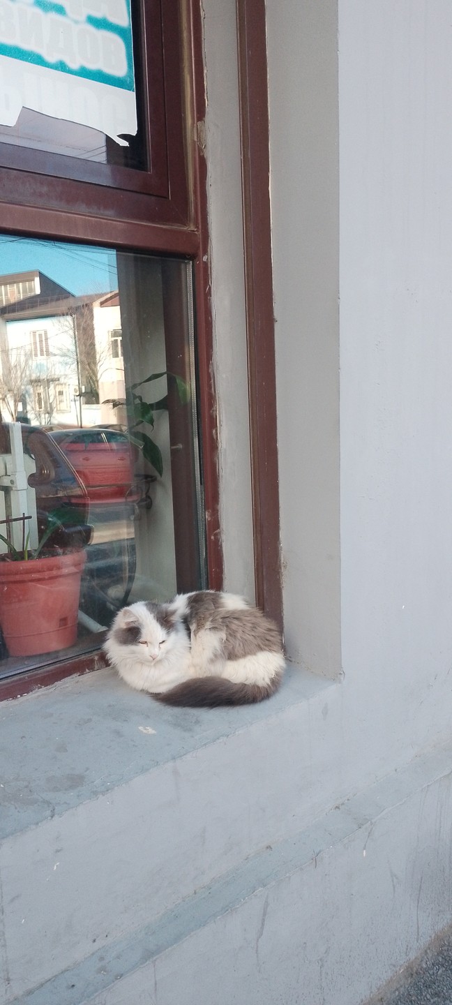 Неожиданная Махачкала (Аня)