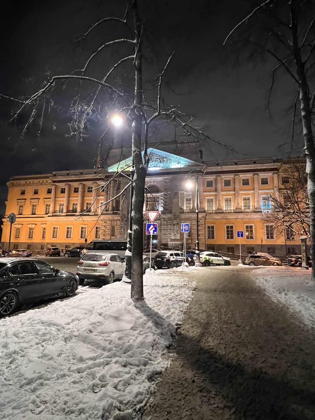 Магия вечернего Петербурга (Лариса)