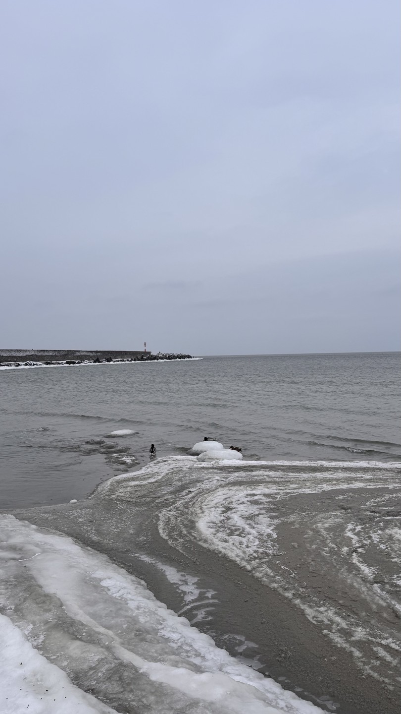Уютное путешествие в Балтийск, Янтарный и Светлогорск: в мини-группе из Калининграда (Милена)