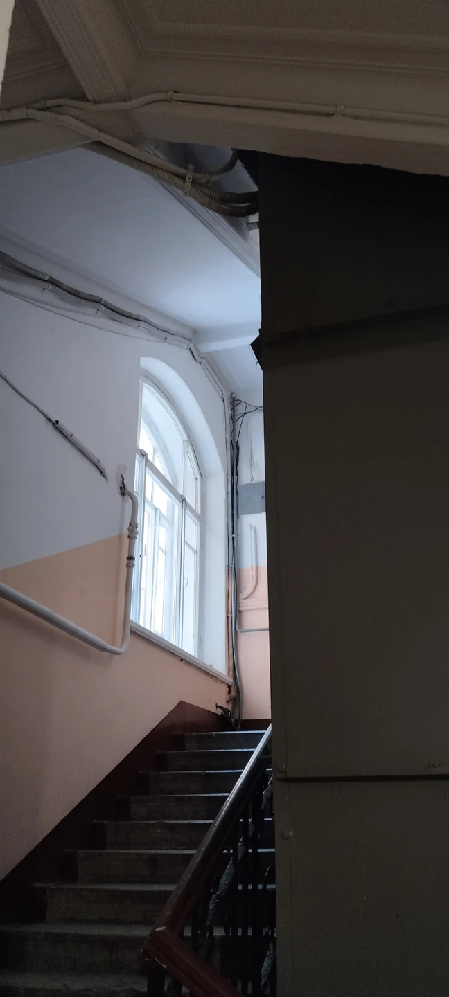 Огромная благодарность за экскурсию по Василевскому острову Анастасии. Неторопливо, грамотно, с большой любовью к городу и