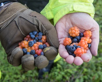Канентьявр - Дальние Зеленцы - Рында