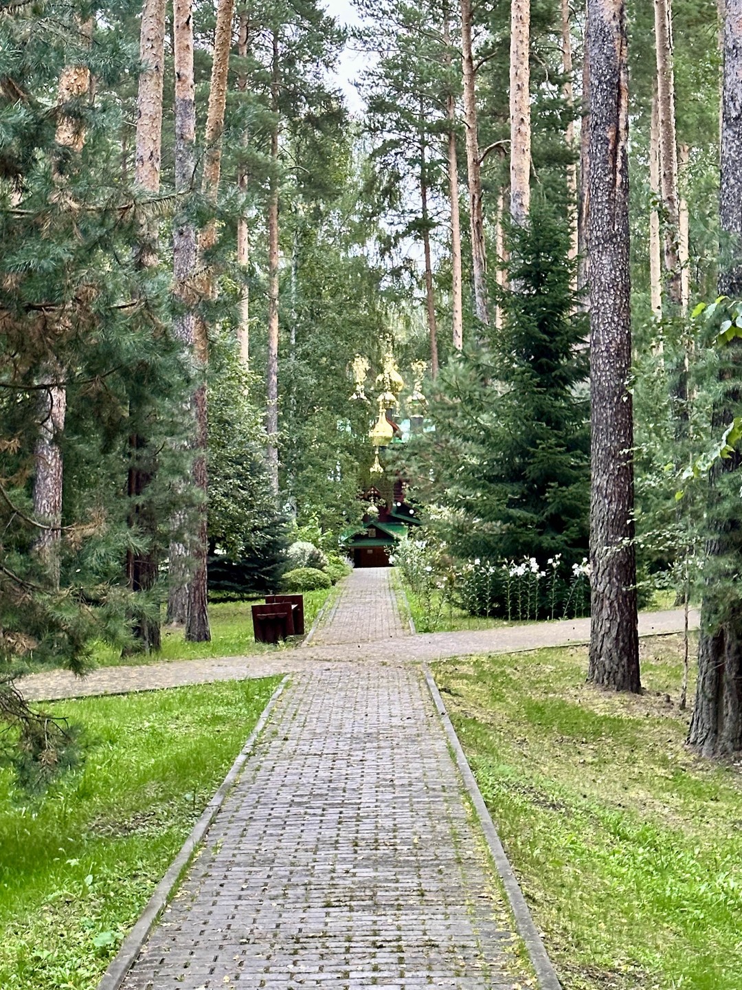 Большое путешествие по Екатеринбургу и окрестностям (Ирина)