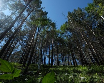 Переезд к Малому Морю, прогулка по побережью