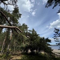 Отзыв о экскурсии "Водопады, горный парк «Рускеала» и сакральные места" — фото 5