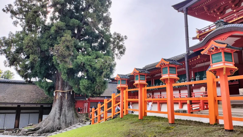 Нара, Арасияма и Киото - за 1 день