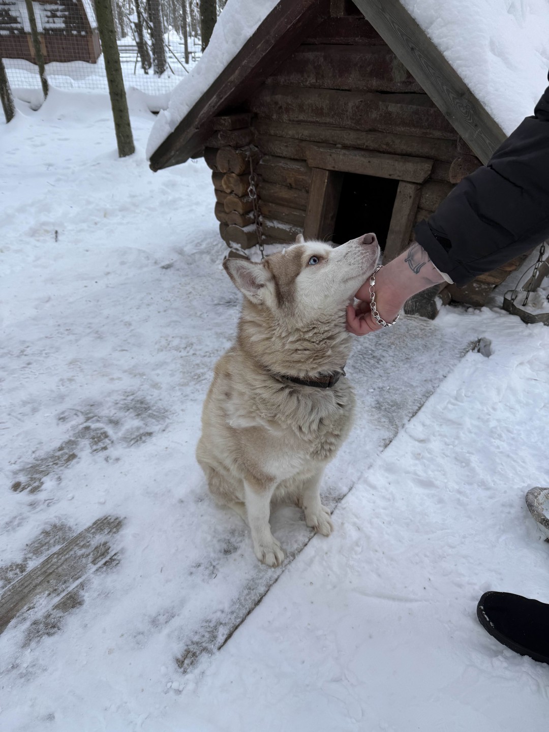 Все понравилось!)