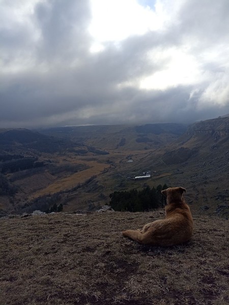 Групповая конная прогулка над Берёзовским ущельем (Даниил)