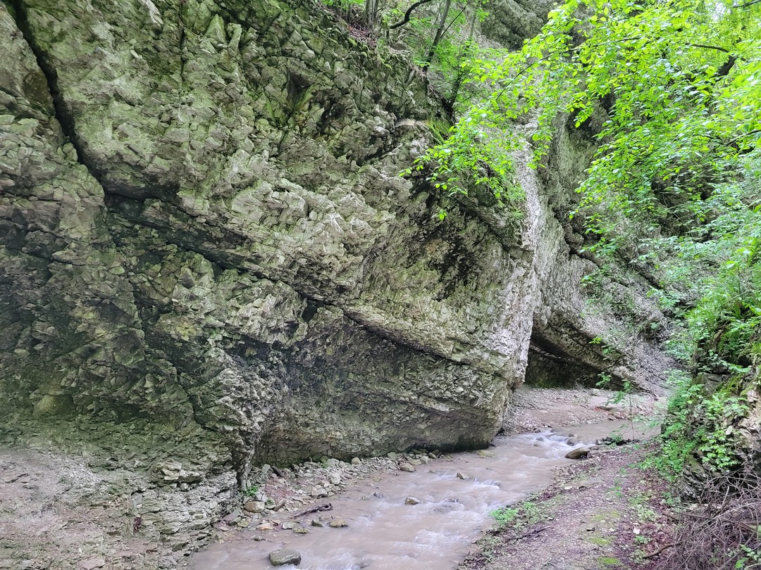 Из Грозного - к Аргунскому ущелью и Пхакочу (в группе) (Александр)