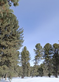 Фото отзыва 4: экскурсия "Калейдоскоп Чуйского тракта"