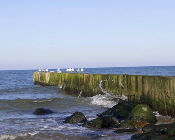 Балтийские курорты: Зеленоградск, Светлогорск, Янтарный