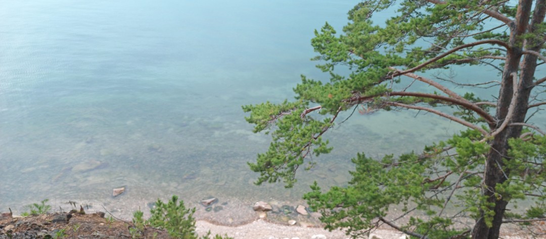 Маршрут отличный! Гид-Евгений приехал в оговоренное время. Отлично провёл по тропе. Рассказывал интересные факты, отвечал на
