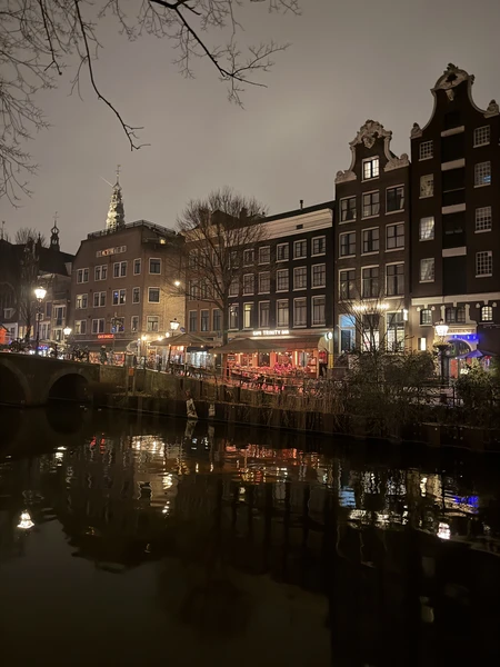 Запретный Амстердам (18+) (Анастасия)