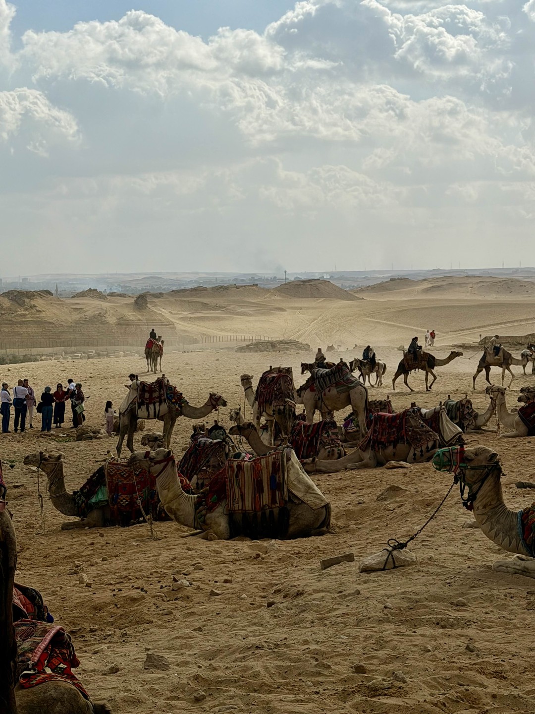 Ездили на экскурсию 28 декабря из Шарм-эль-Шейха. Посетили пирамиды и новый Египетский музей. Машина забрала нас