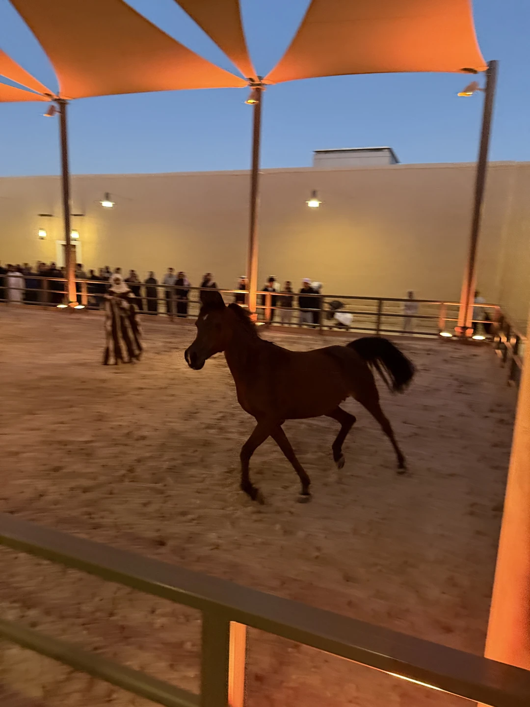 Отличный гид и человек! С утра до позднего вечера показывал нам город, без спешки и суеты. . было максимально комфортно и весело!