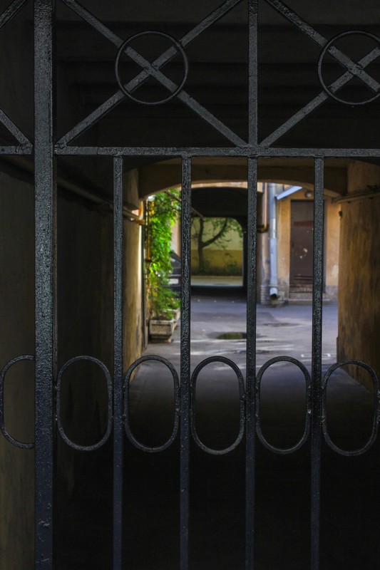 Виды Тихий центр Петербурга: пешеходная экскурсия + подъём на крышу