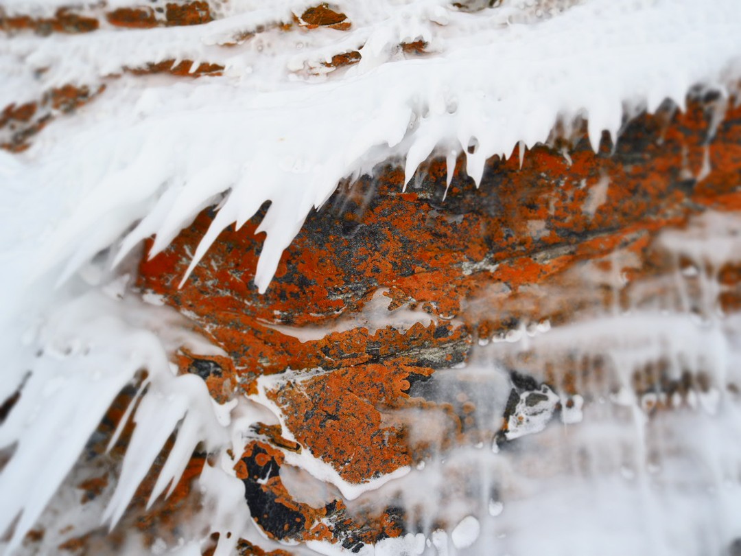 Поездка на джипе по югу острова Ольхон (Ангелина)