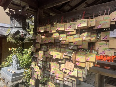 Фото отзыва 2: экскурсия ""