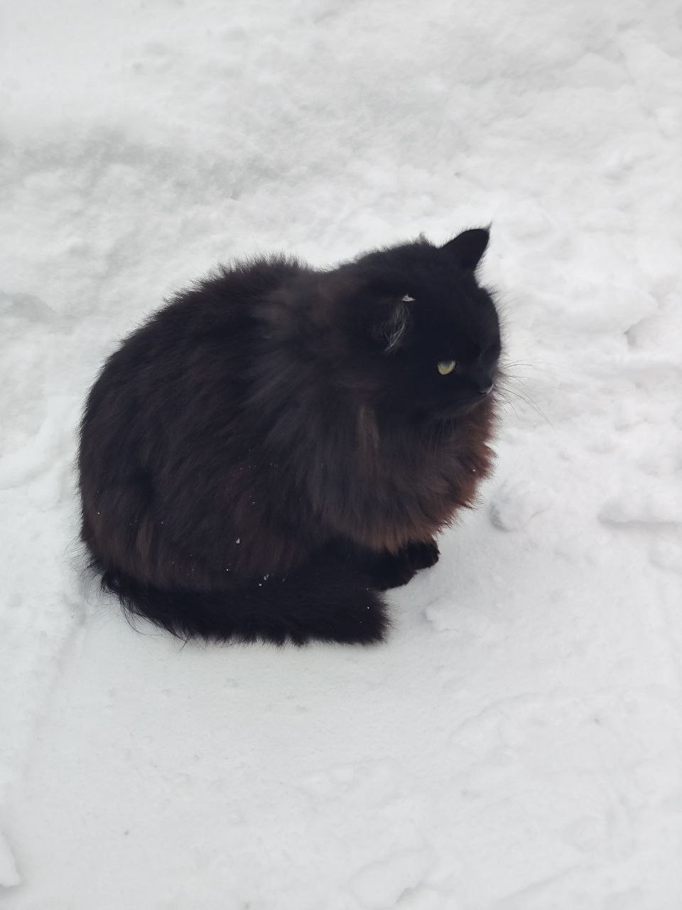 Очень интересная и познавательная экскурсия, которая даже местному жителю, который неплохо разбирается в истории, дает новую