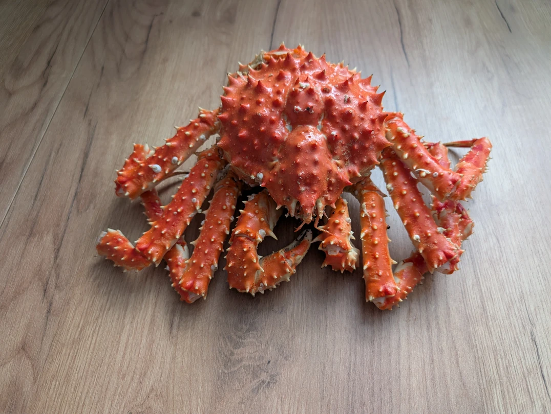 Экскурсия с Романом прошла очень увлекательно. Мы довольны! Роман спасибо огромное! Виды действительно потрясающие, прогулка по