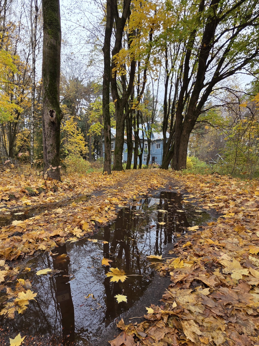 Приятная прогулка по осеннему Переделкину! Интересно,с юмором! Помимо рассказа было поэтическо-музыкальное отступление. Однозначно рекомендую! Удобно добираться