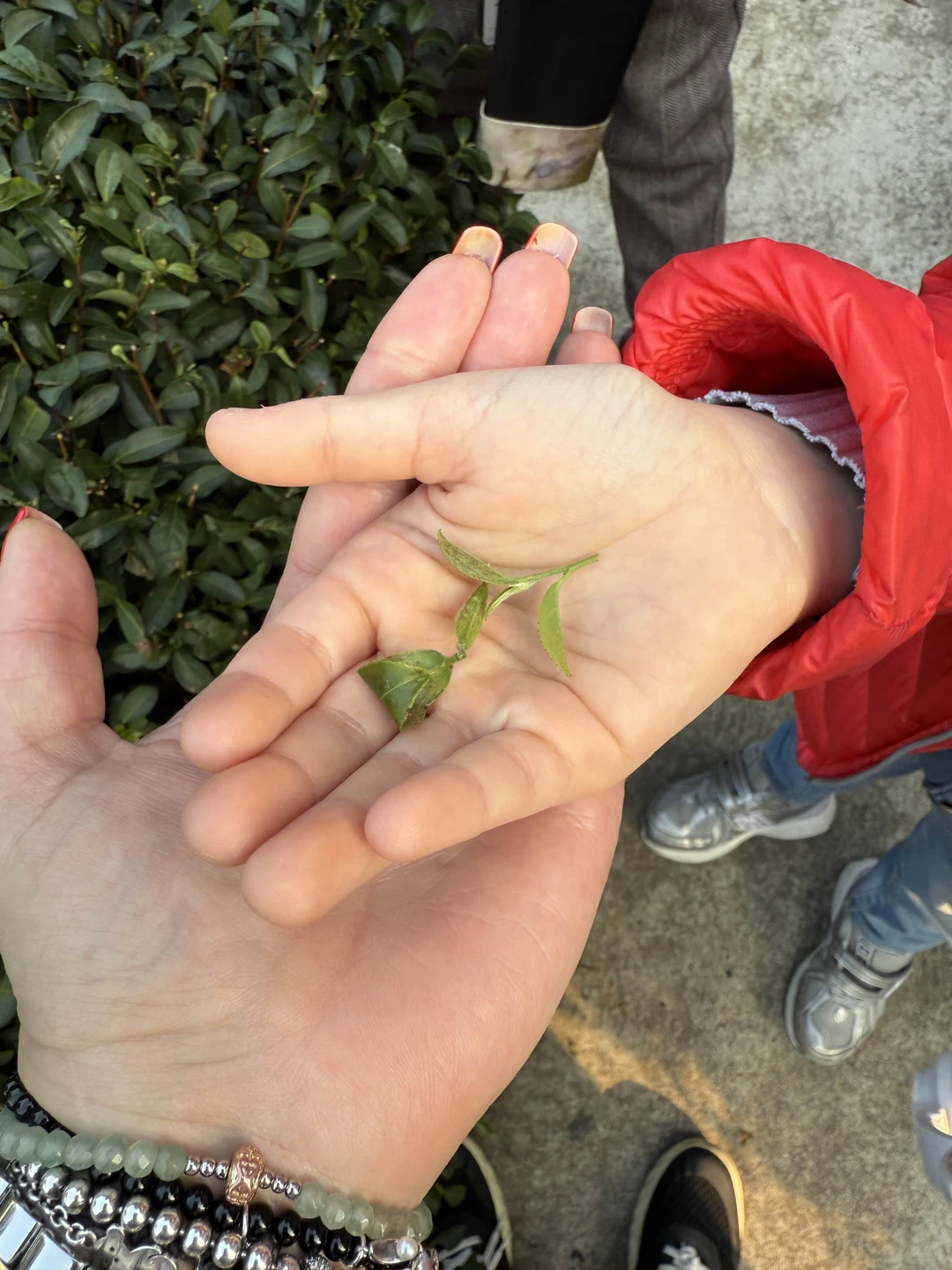 Отличная организация, гид Ася говори по-русски хорошо, дает много интересной информации. Экскурсия замечательная!