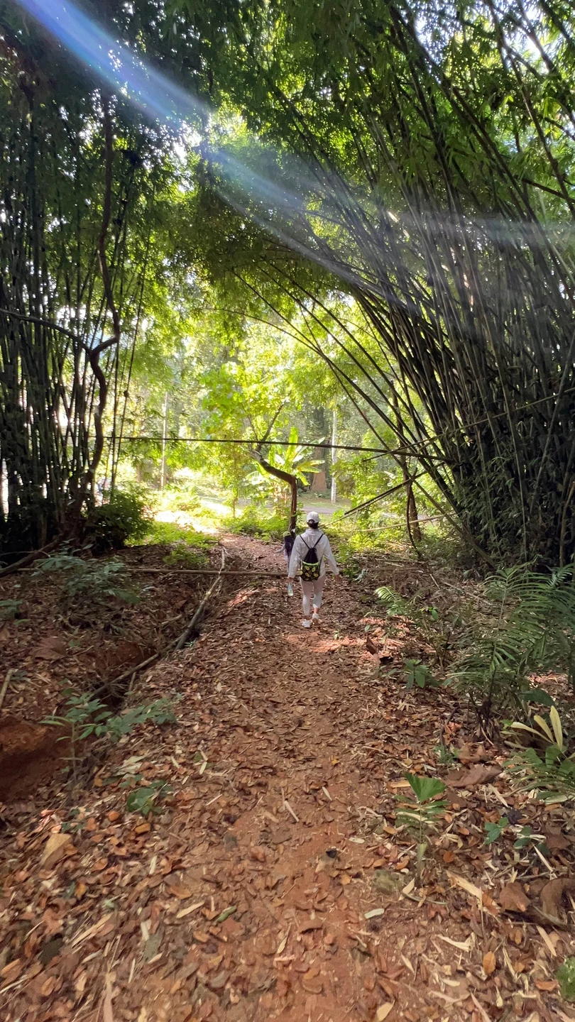Отличная экскурсия! Хоть мы и первый раз на Пхукете, но хотелось что то такое, чтобы без толп туристов.