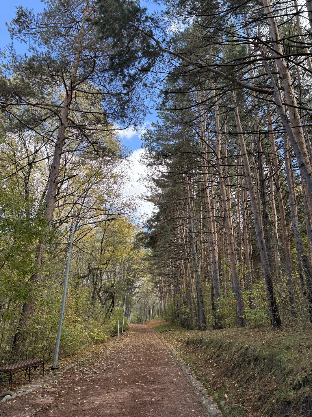 Кисловодский парк: прогулка со смыслом (Дарья)