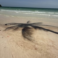 Фото отзыва 2: экскурсия "Гид на день по острову Фукуок"