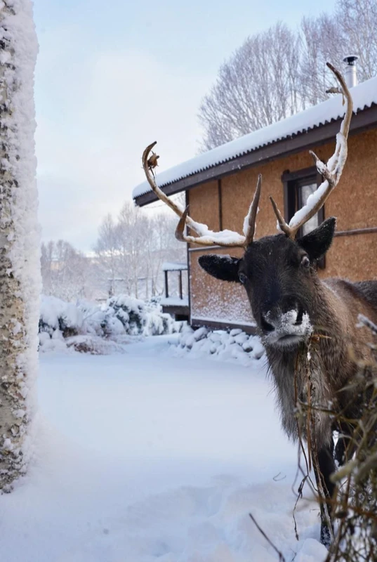 Джип-тур по Камчатке с активностями, этнопогружением и гастроизысками