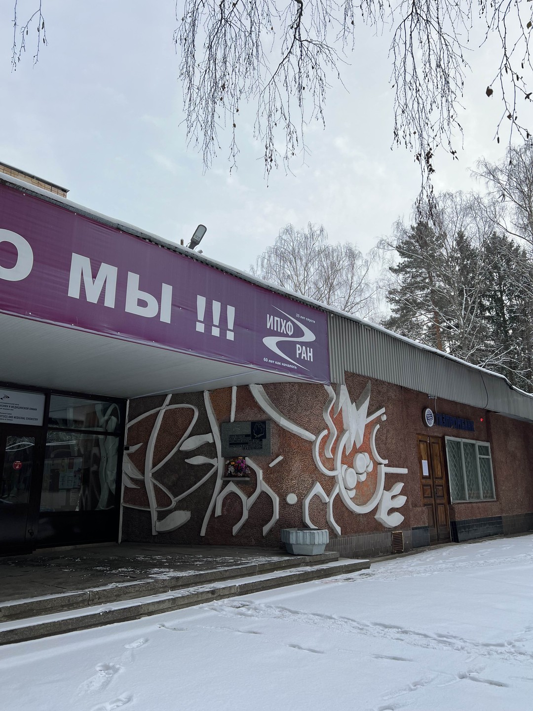 Пусть нам предстояло исследовать science-art в заснеженных пейзажах и пройти несколько километров пешком, это была очень