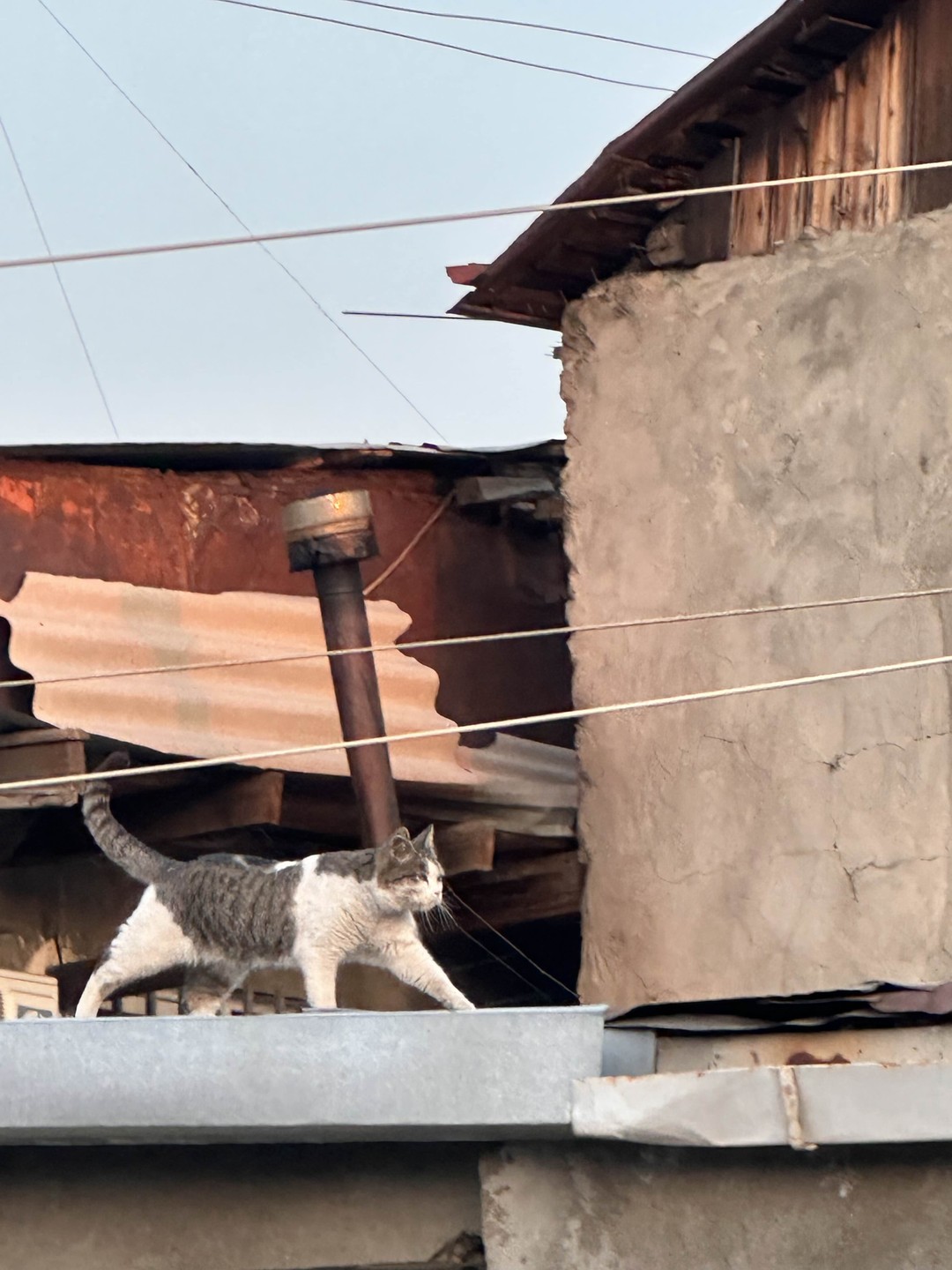 Большое спасибо за этот замечательный день! Очень интересно, с юмором, атмосфера непередаваемая, остались только теплые воспоминания