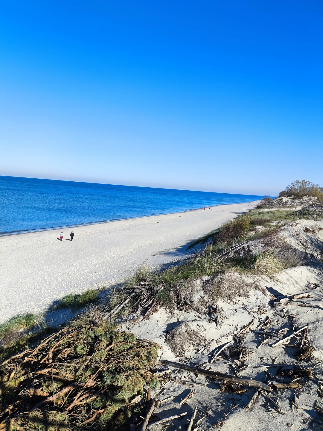 Супер экскурсия с гидом Олегом! Природа Калининградской области вдохновляет своей красотой и самобытностью! Все четко и