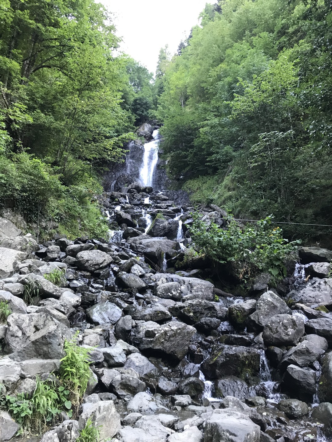 Нас компания из 4-х человек, посетили индивидуальную экскурсию с Сергеем на озеро Рица 16.08.23 года.