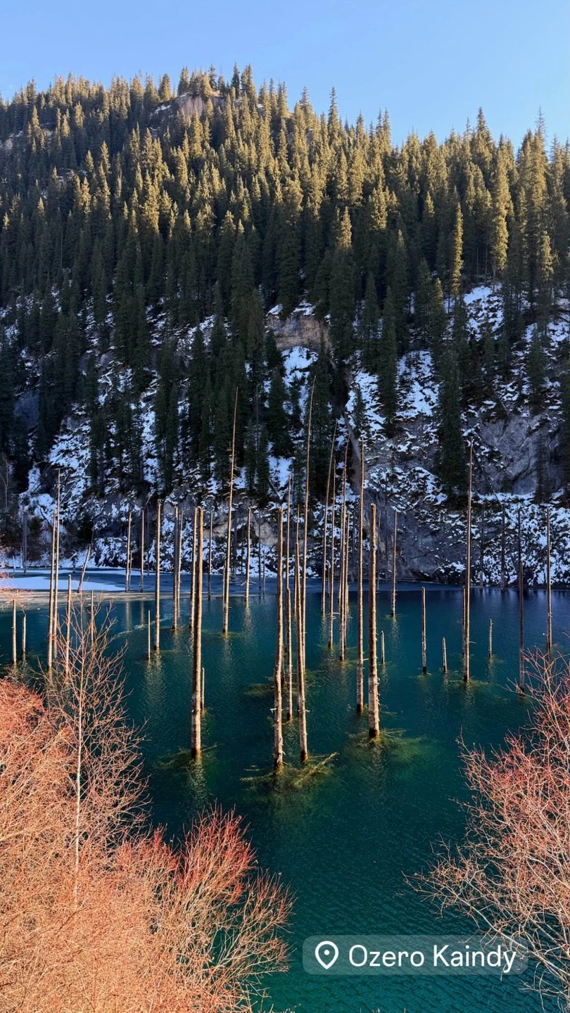 добрый день!