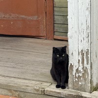 Фото отзыва 2: экскурсия "Вологодские дворики"