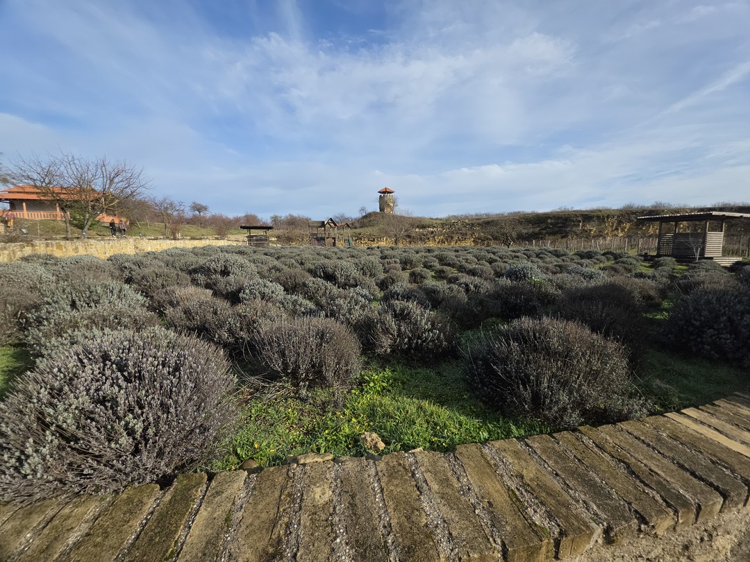 Винные открытия: Скалистый берег, Шумринка и Гай-Кодзор (Марина)
