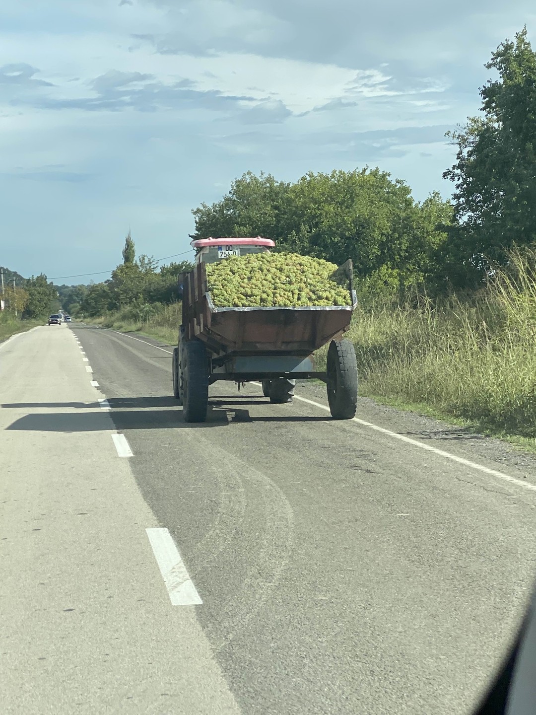 Зураб, это тот человек который искренне любит свою родину и своё дело! Очень интересный, эрудированный. Экскурсия
