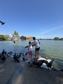 Фото отзыва 1: экскурсия "Лучшее на Пхукете за 1 день"