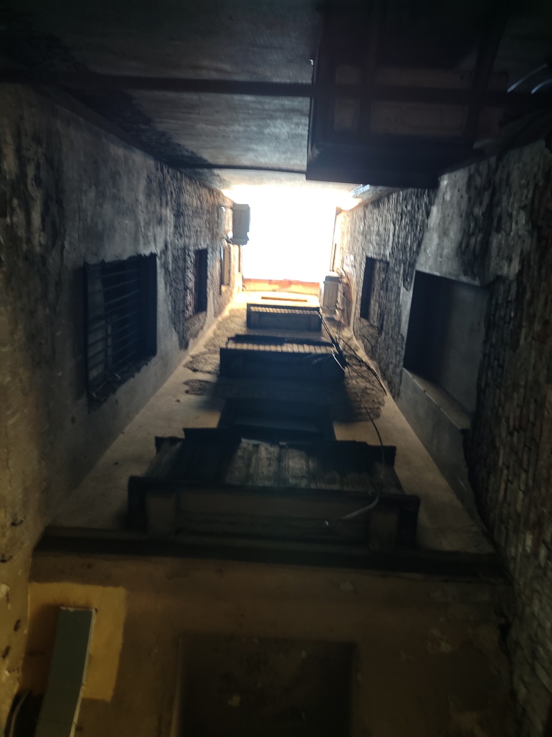 Я обожаю Петроградский остров. Мне казалось, что я видела много интересных мест там, но, как оказалось,