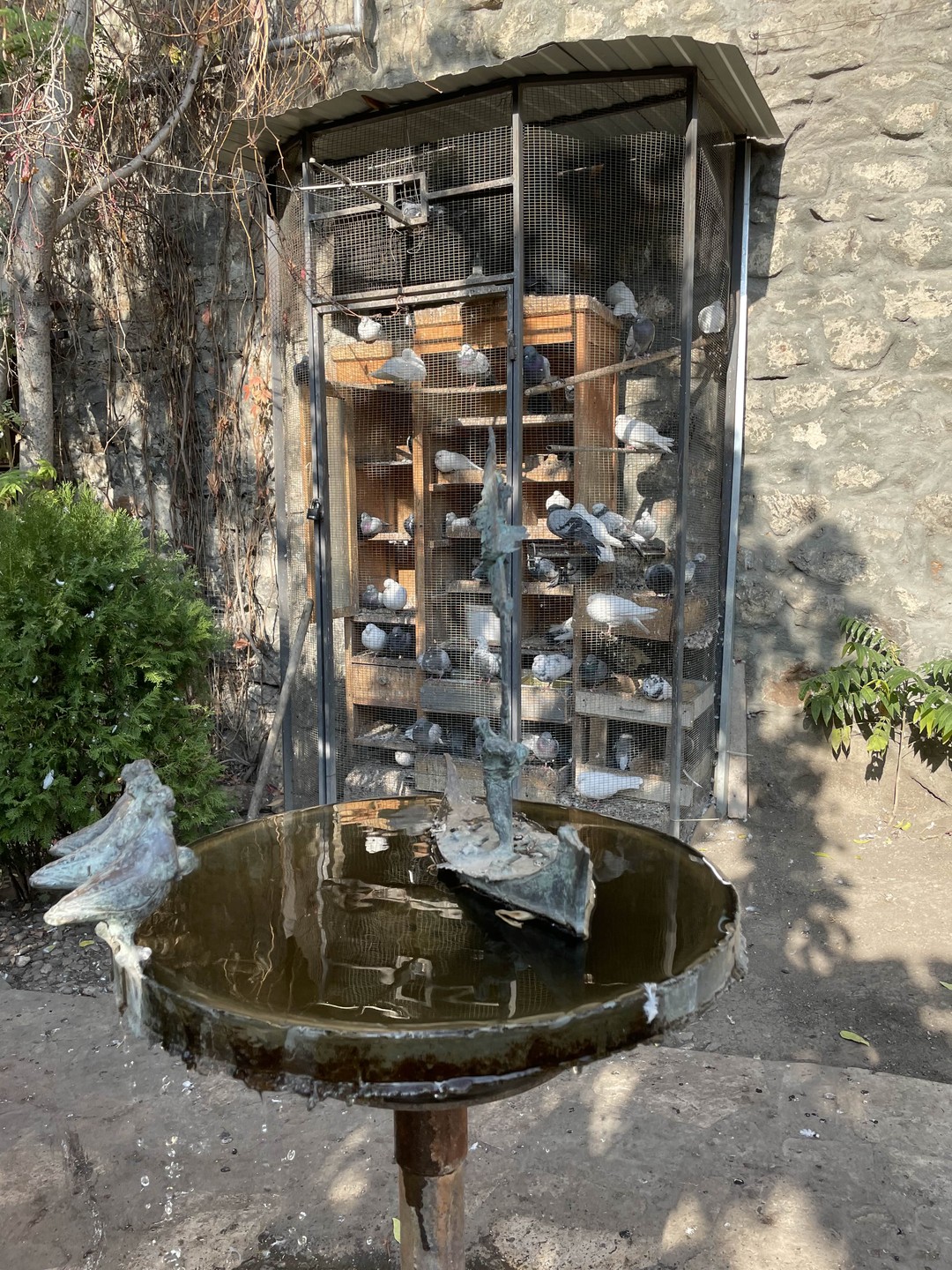 Экскурсия понравилось, гид Анаит в неспешной прогулке хорошо рассказала про знаковые места города с точки зрения