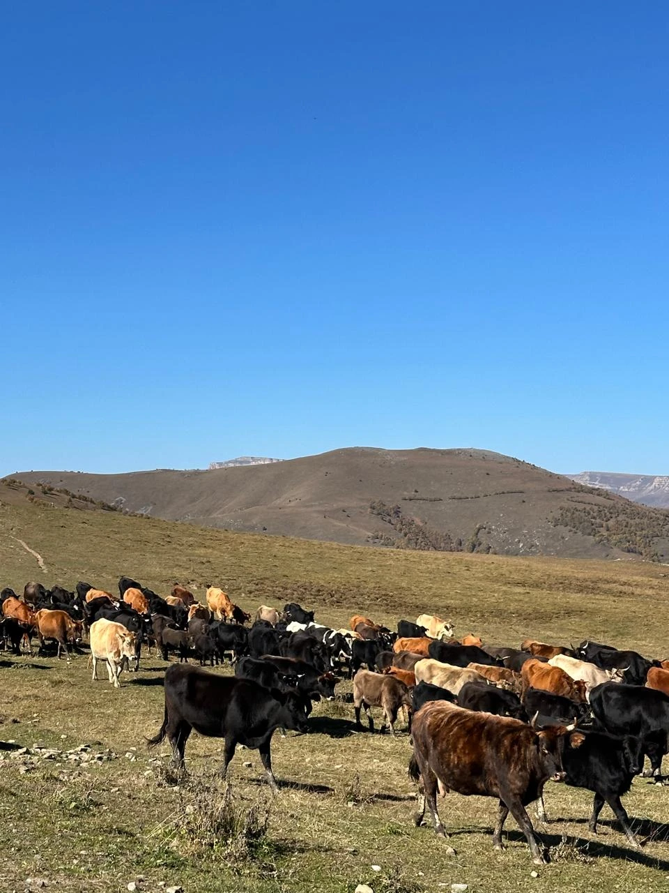 Золотое кольцо Кисловодска (Наталья)